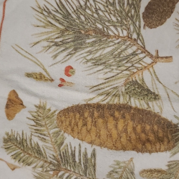 Pine Cone Illustration Shirt - Picture 3 of 5